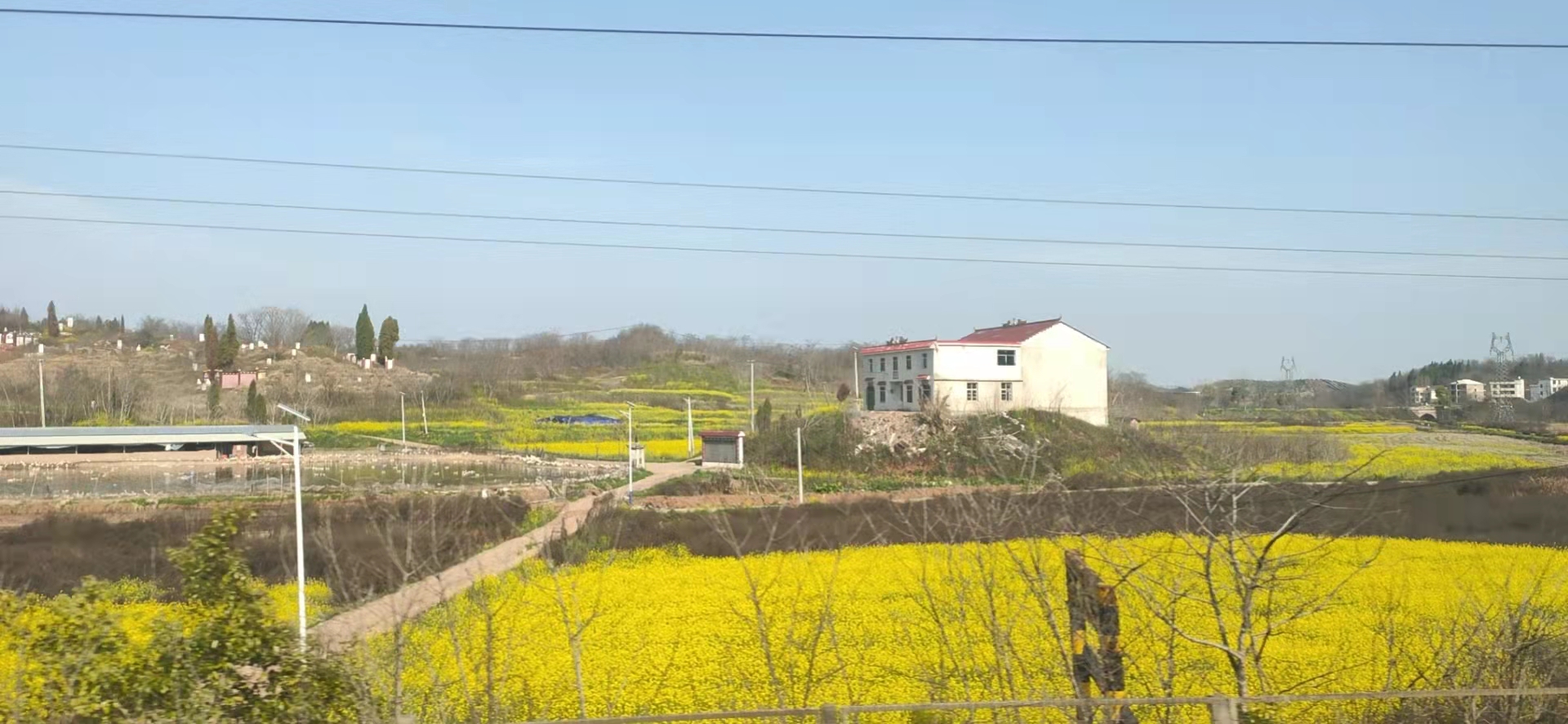 微信图片_20230314164534.jpg